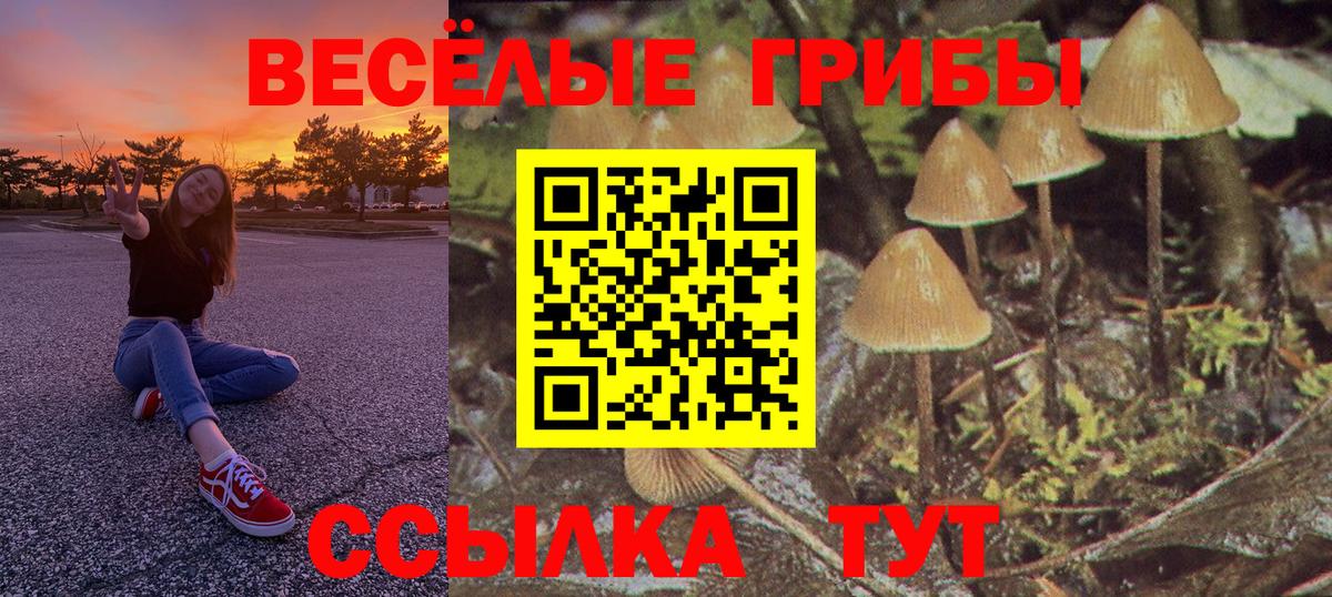 Галлюциногенные грибы Cubensis  закладки  Юрга  Вход с VPN 